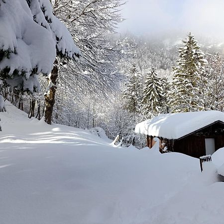 Ferienhaus Baerschwendi Lungern Esterno foto