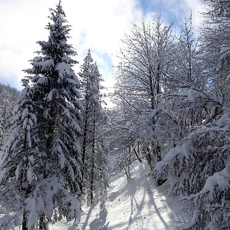 Ferienhaus Baerschwendi Lungern Esterno foto