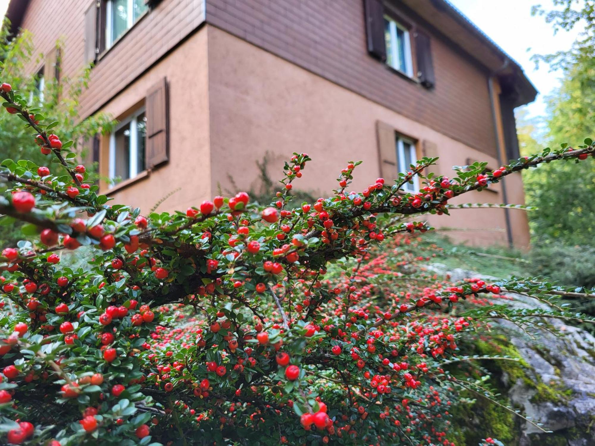 Ferienhaus Baerschwendi Lungern Esterno foto
