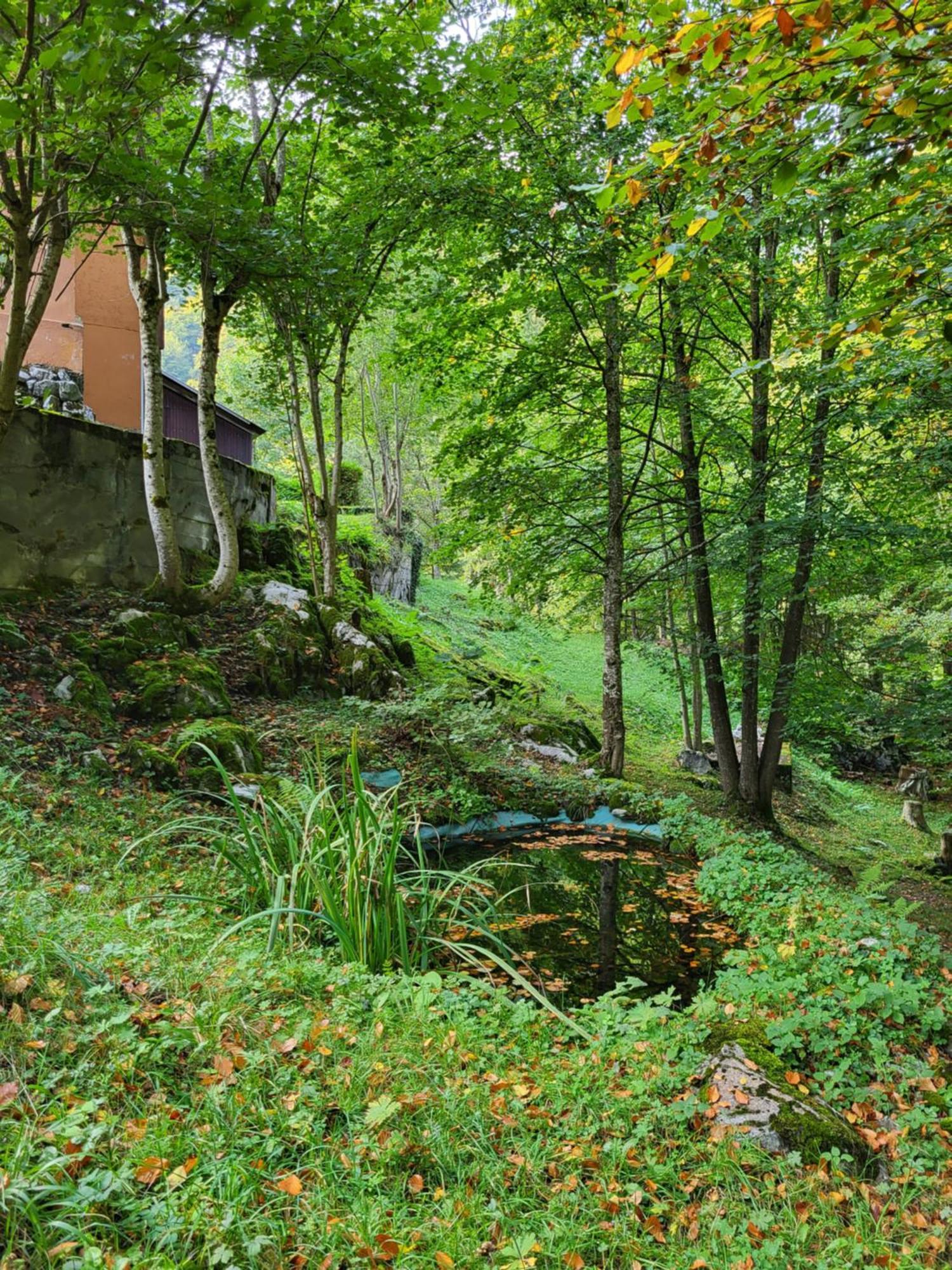Ferienhaus Baerschwendi Lungern Esterno foto