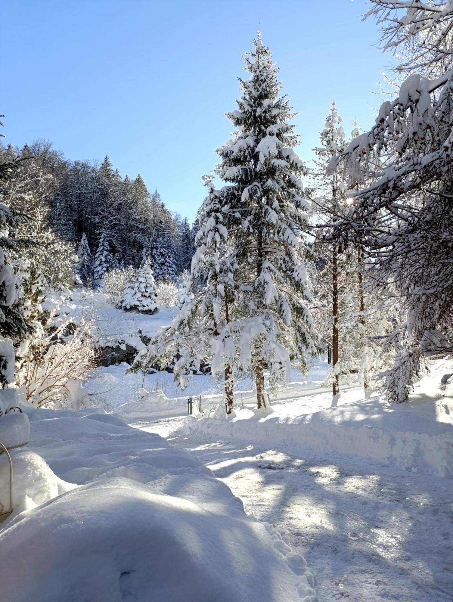Ferienhaus Baerschwendi Lungern Esterno foto