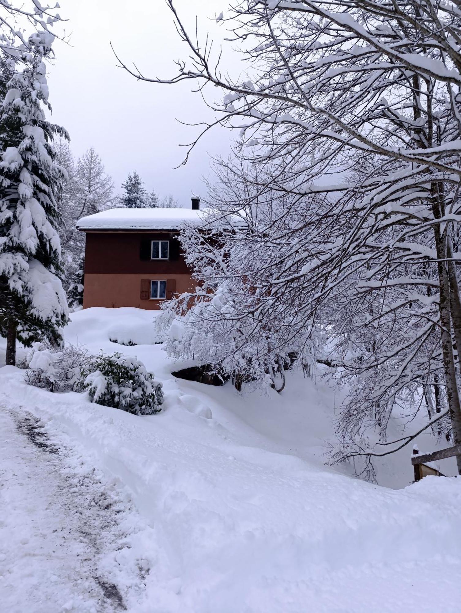 Ferienhaus Baerschwendi Lungern Esterno foto